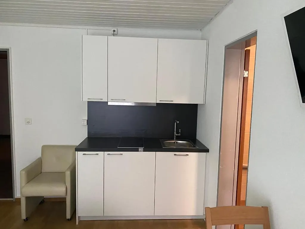 Gasthof Studios With Kitchenette Birsfelden