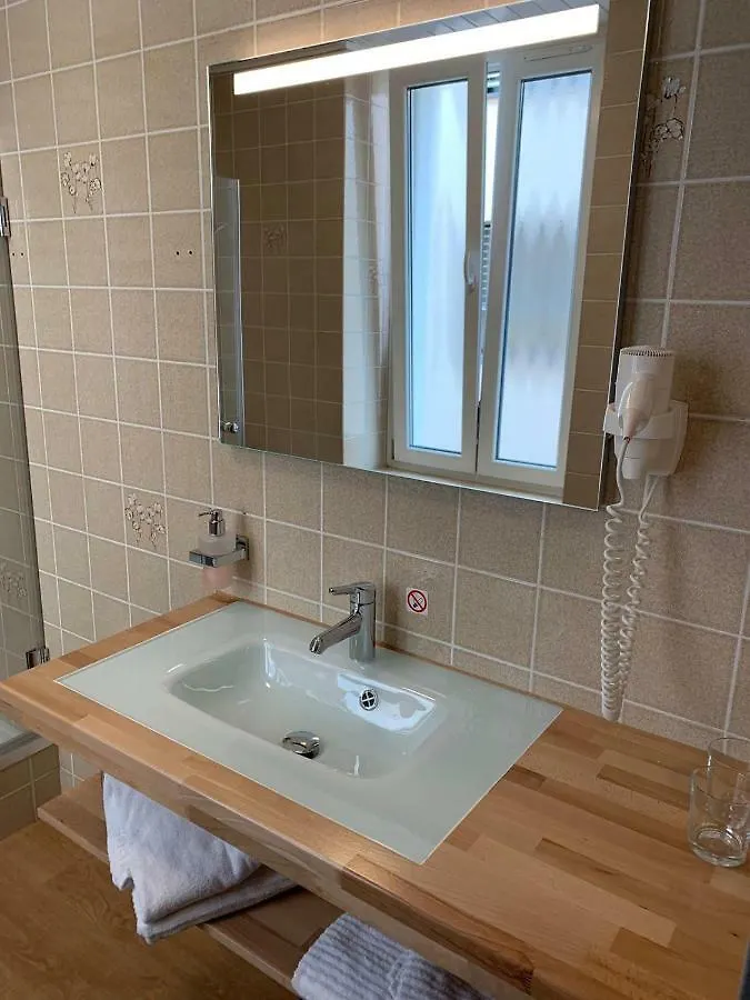 Gasthof Studios With Kitchenette Birsfelden